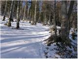 Tržič - Lešanska planina